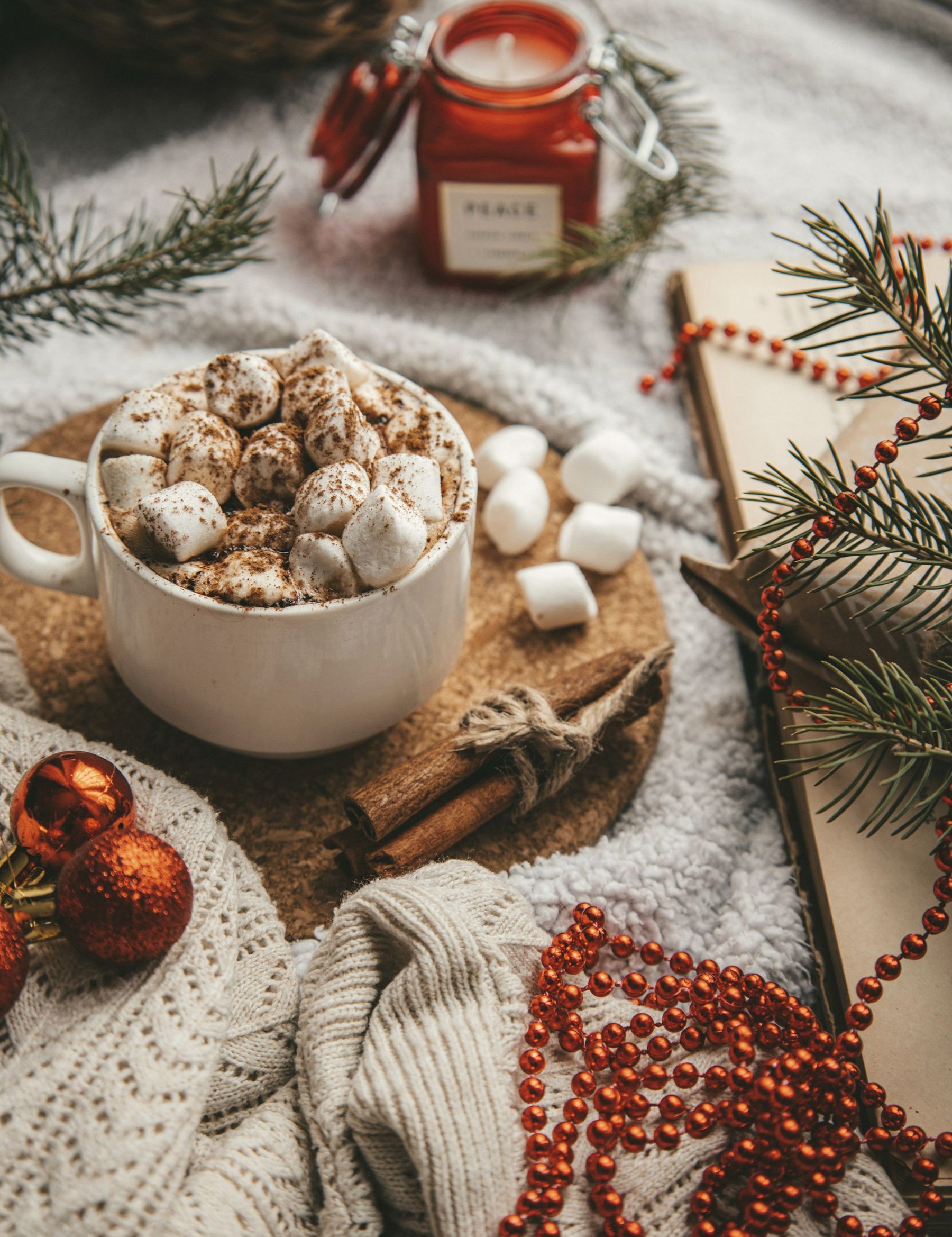 Hot cocoa with marshmallows on a knit blanket with pine sprigs